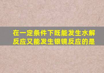 在一定条件下既能发生水解反应又能发生银镜反应的是