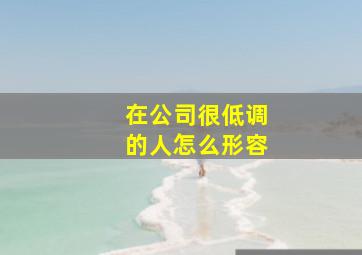 在公司很低调的人怎么形容