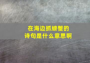 在海边抓螃蟹的诗句是什么意思啊