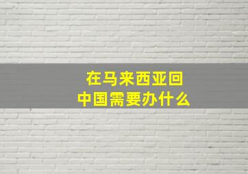 在马来西亚回中国需要办什么