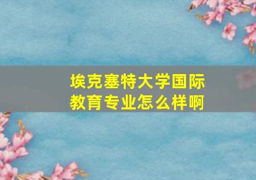 埃克塞特大学国际教育专业怎么样啊