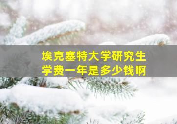 埃克塞特大学研究生学费一年是多少钱啊