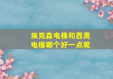 埃克森电梯和西奥电梯哪个好一点呢