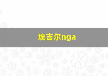 埃吉尔nga