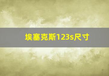 埃塞克斯123s尺寸