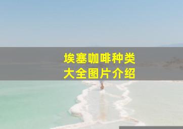 埃塞咖啡种类大全图片介绍