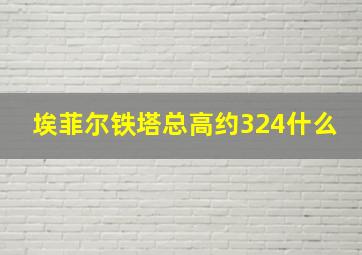 埃菲尔铁塔总高约324什么