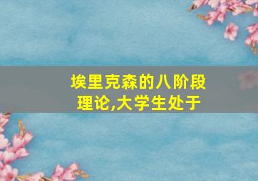 埃里克森的八阶段理论,大学生处于