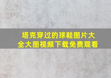 塔克穿过的球鞋图片大全大图视频下载免费观看