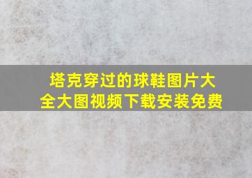 塔克穿过的球鞋图片大全大图视频下载安装免费