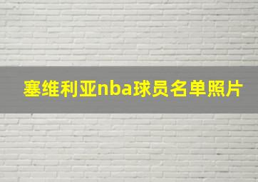 塞维利亚nba球员名单照片