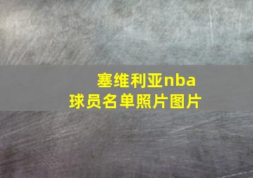 塞维利亚nba球员名单照片图片