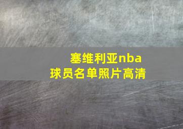 塞维利亚nba球员名单照片高清