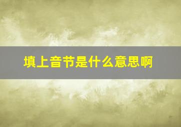 填上音节是什么意思啊