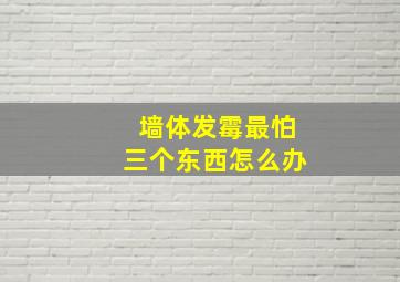 墙体发霉最怕三个东西怎么办