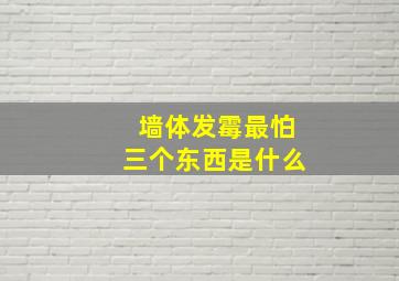 墙体发霉最怕三个东西是什么