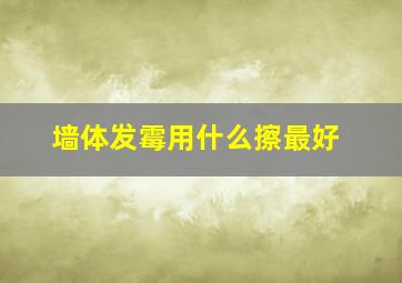 墙体发霉用什么擦最好