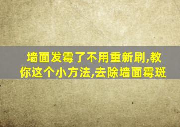 墙面发霉了不用重新刷,教你这个小方法,去除墙面霉斑