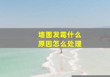 墙面发霉什么原因怎么处理