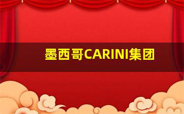 墨西哥CARINI集团