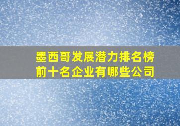 墨西哥发展潜力排名榜前十名企业有哪些公司