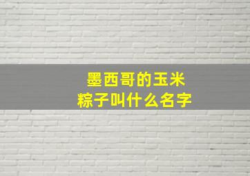 墨西哥的玉米粽子叫什么名字