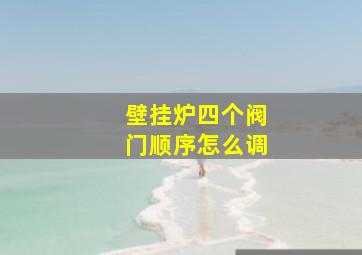 壁挂炉四个阀门顺序怎么调