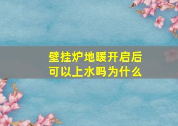 壁挂炉地暖开启后可以上水吗为什么