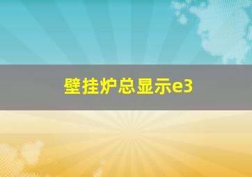 壁挂炉总显示e3