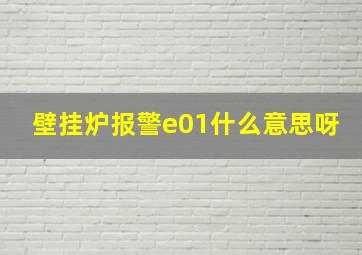 壁挂炉报警e01什么意思呀