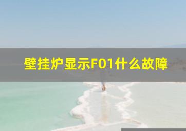 壁挂炉显示F01什么故障