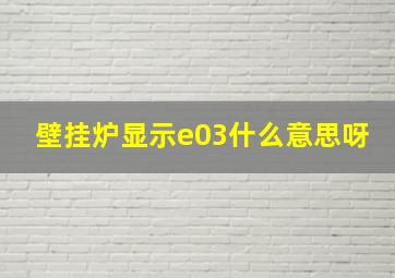 壁挂炉显示e03什么意思呀