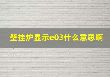 壁挂炉显示e03什么意思啊