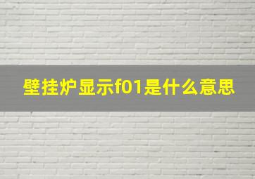 壁挂炉显示f01是什么意思