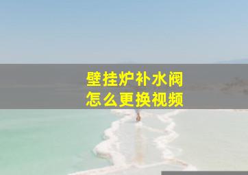 壁挂炉补水阀怎么更换视频