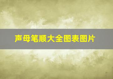 声母笔顺大全图表图片