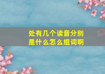 处有几个读音分别是什么怎么组词啊