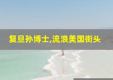 复旦孙博士,流浪美国街头