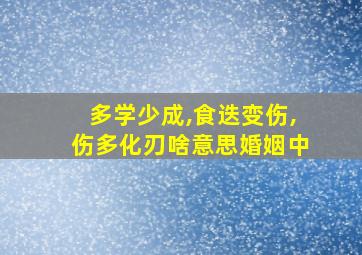 多学少成,食迭变伤,伤多化刃啥意思婚姻中