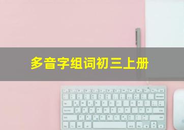 多音字组词初三上册