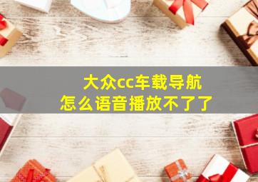 大众cc车载导航怎么语音播放不了了