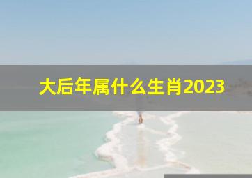 大后年属什么生肖2023