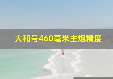 大和号460毫米主炮精度