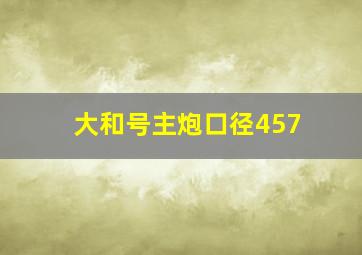 大和号主炮口径457