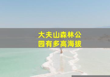 大夫山森林公园有多高海拔