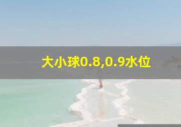 大小球0.8,0.9水位