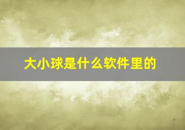 大小球是什么软件里的