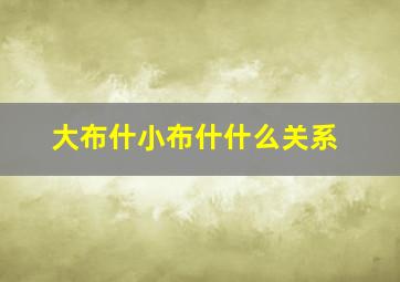 大布什小布什什么关系