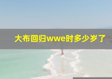 大布回归wwe时多少岁了