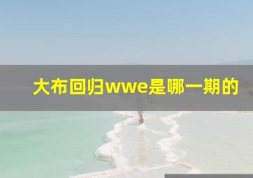 大布回归wwe是哪一期的